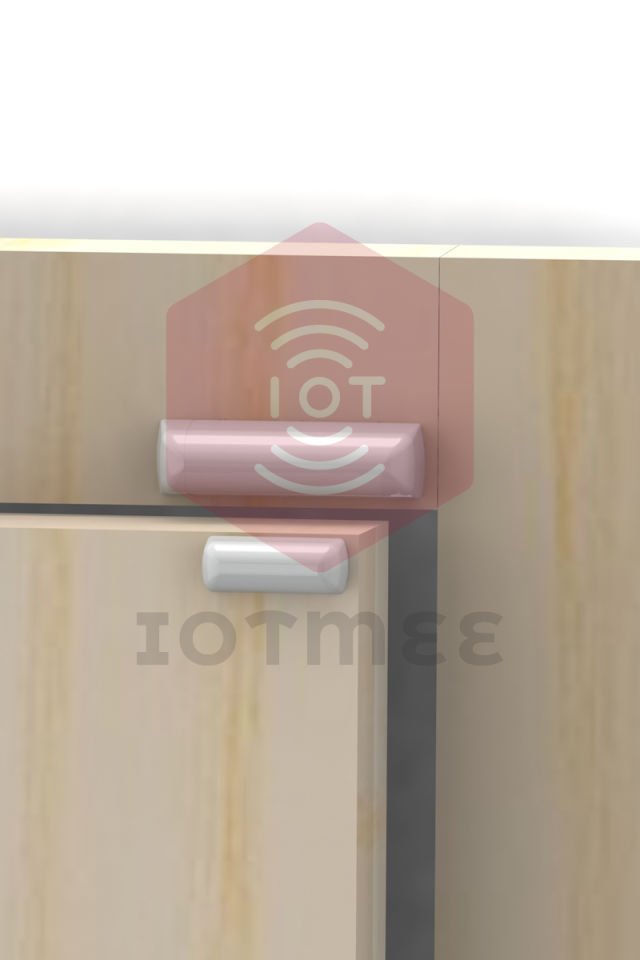 EMSdoor