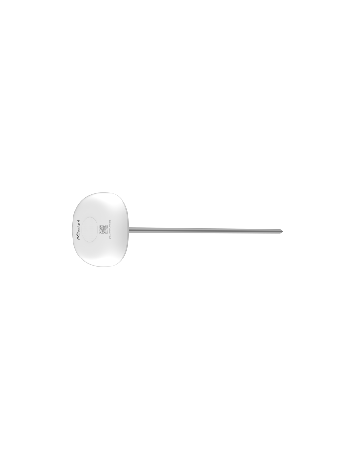 Milesight Insertion Temperature Sensor TS101